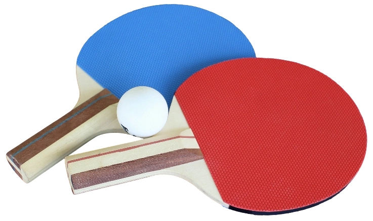 Raquette de tennis de table